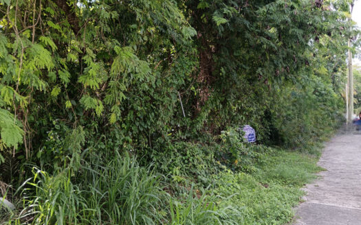 Paseo del Sol 24 Residencial Campestre