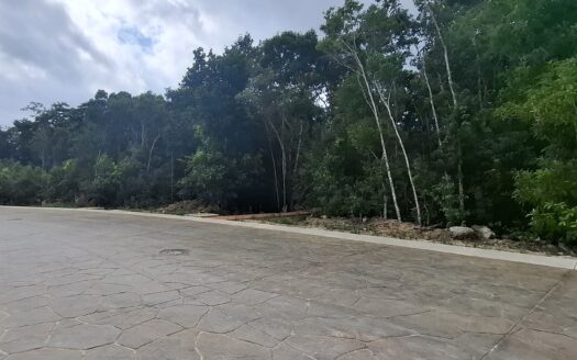 Lote Altai Monte Santa Elena