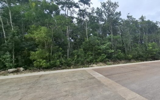 Lote Altai Monte Santa Elena