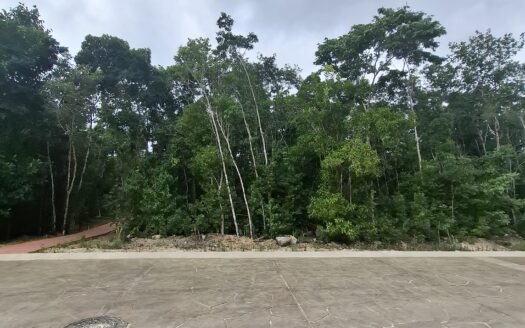 Lote Altai Monte Santa Elena